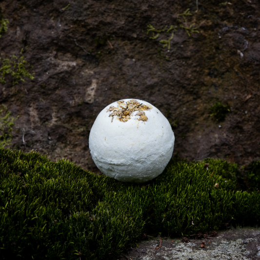 White bath bomb with chamomile on a mossy surface