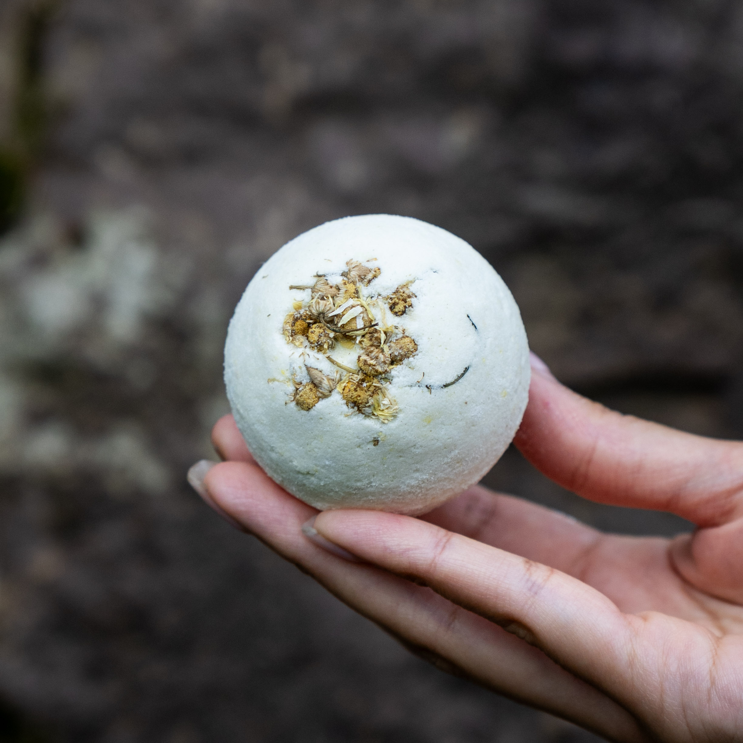 Hand holding a bath bomb with dried herbs against a blurred natural background